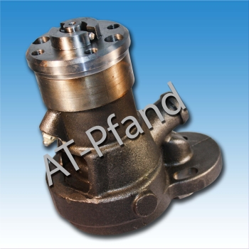 AT-Pfand für Wasserpumpe Deutz F1M414 F2M414 F2M417